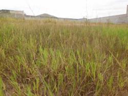 Terreno em condomínio para Venda em Jacareí - 3