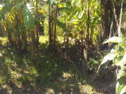 Terreno para Venda em Jacareí - 4