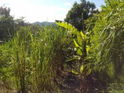Terreno para Venda em Jacareí - 5