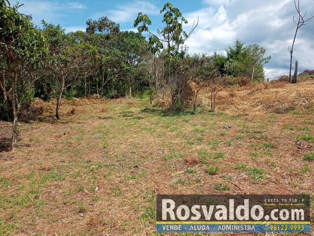 #21953 - Alto Padrão para Venda em Santa Branca - SP - 1