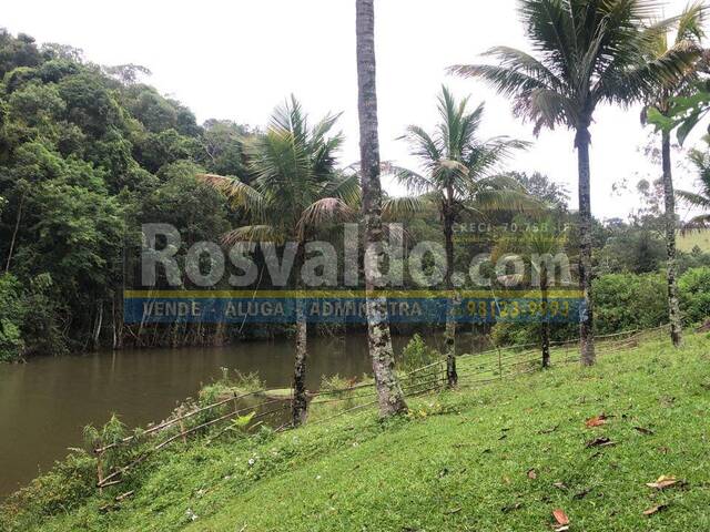#22442 - Fazenda para Venda em Jacareí - SP - 3